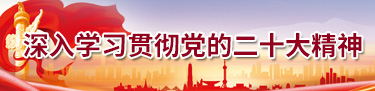 学习贯彻二十大精神
