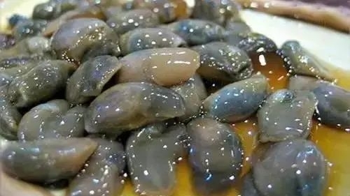 寻味前湾——醉泥螺