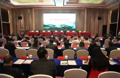 益陽桃江以竹為媒 簽約21個合同，引資30.4億共建綠色產業藍圖
